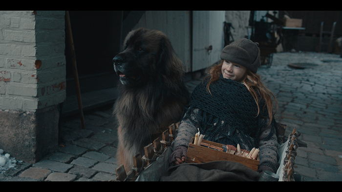 Bildekred Monster 11